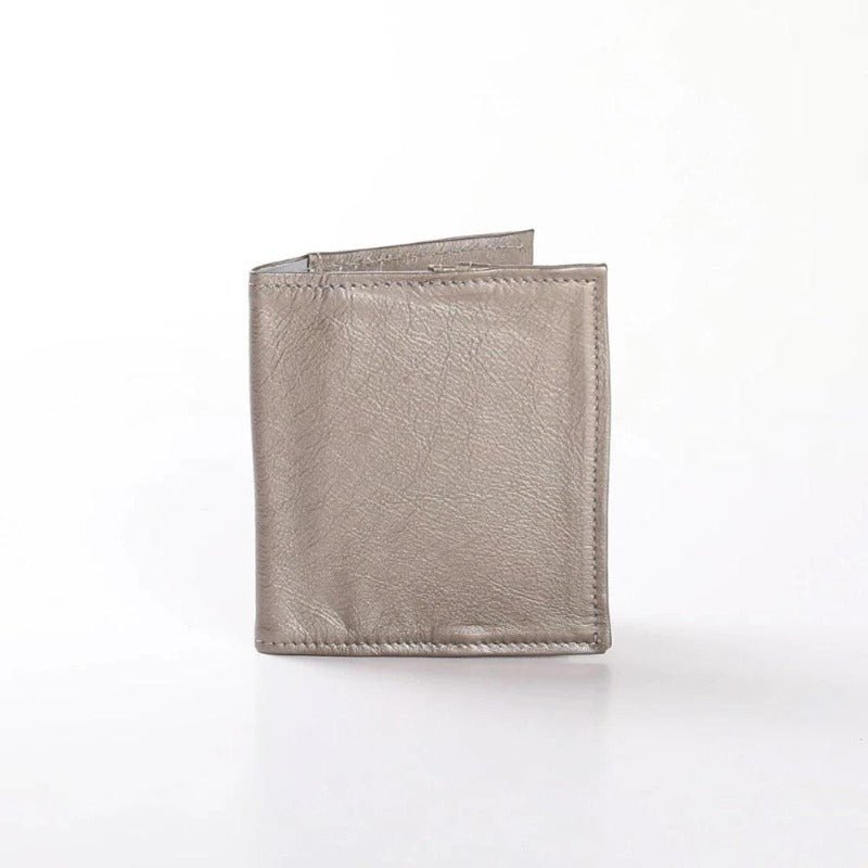 Thandana Metallic Leather Passport Holder - KaryKase